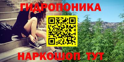марки nbome Кингисепп