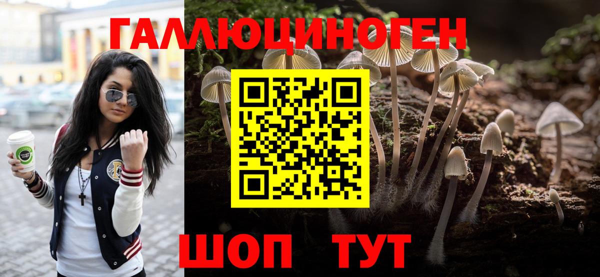 Галлюциногенные грибы MAGIC MUSHROOMS  Вход с VPN  Изобильный 